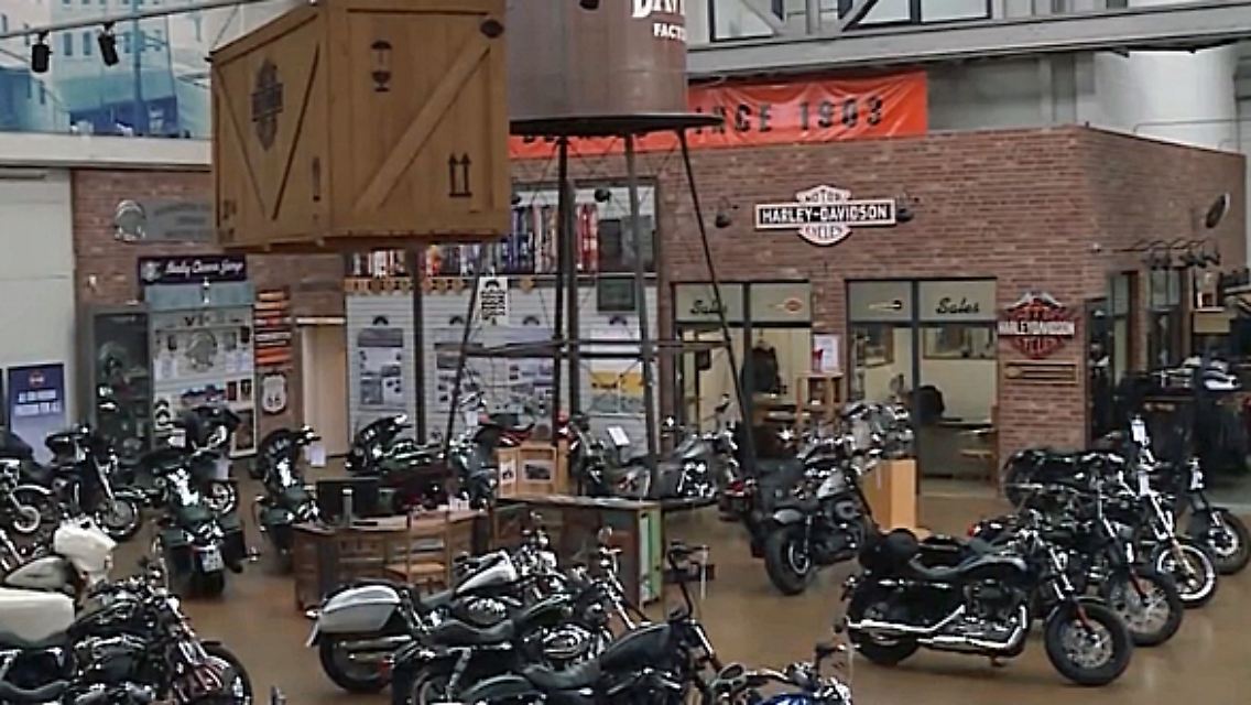 Zölle_Harley.jpg