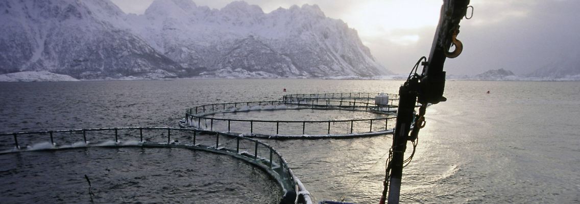 Lachsfarm in Norwegen.