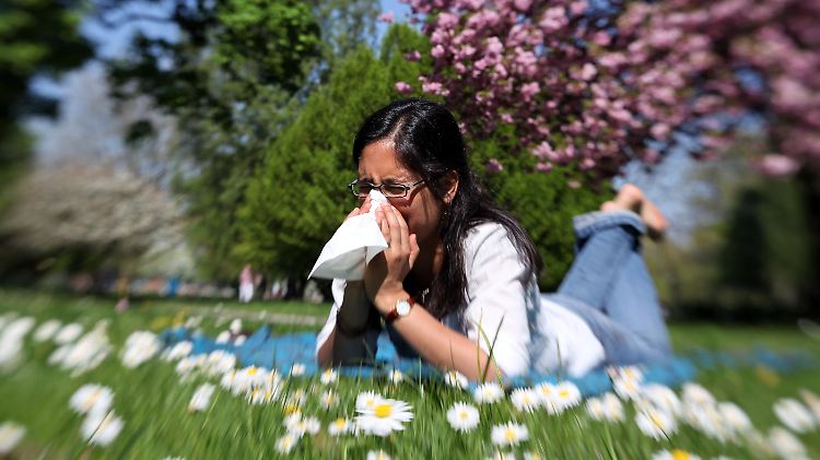 Immer mehr Menschen haben Allergien, und Pollen-Allergiker sind immer stärker betroffen. Forscher haben herausgefunden, was Umweltschadstoffe und der Klimawandel damit zu tun haben.