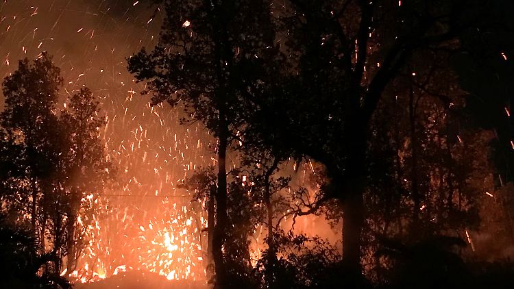 Lava und Funken peitschen nach der Eruption des Kilauea durch ein nahegelegenes Waldgebiet.