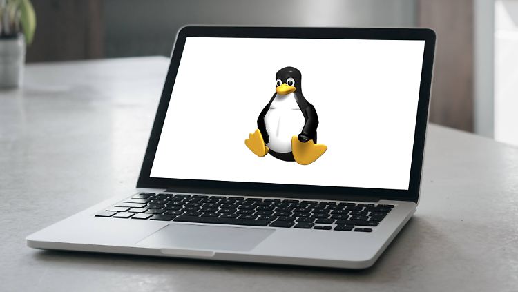 Linux kann alleine oder parallel zu Windows installiert werden.