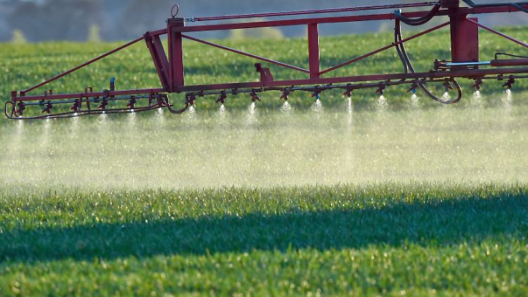 Umweltschützer machen die Landwirtschaft für die Nitrat-Belastung des Grundwassers verantwortlich.