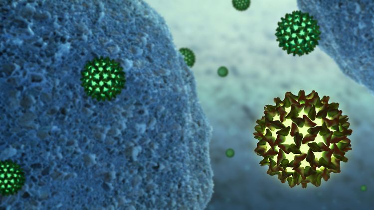 Hepatitis B führt bei Menschen zu chronischen Lebererkrankungen.