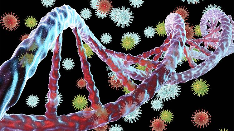 Viren wie Hepatitis B interagieren mit DNA-Zellen des Wirtes.