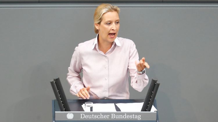 Alice Weidel hatte im Bundestag über "Kopftuchmädchen" und "sonstige Taugenichtse" gesprochen - dafür gab es Buhrufe.