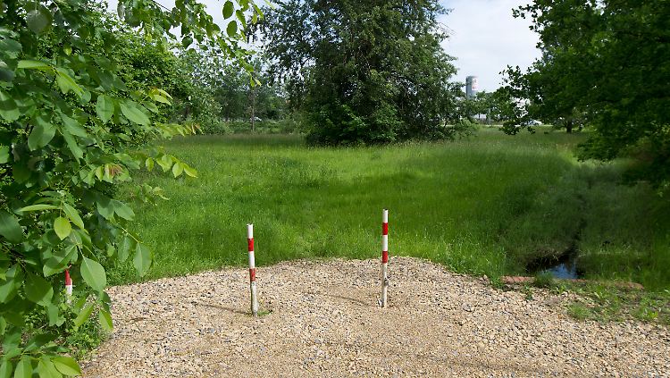 Auf dieser Wiese in Osnabrück soll ein Hund das Neugeborene attackiert haben - diese Geschichte stimmt nicht, sagt die Staatsanwaltschaft.