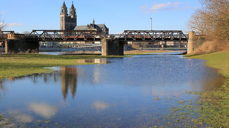Wer hat wen attackiert? Die Polizei in Magdeburg sucht Zeugen.