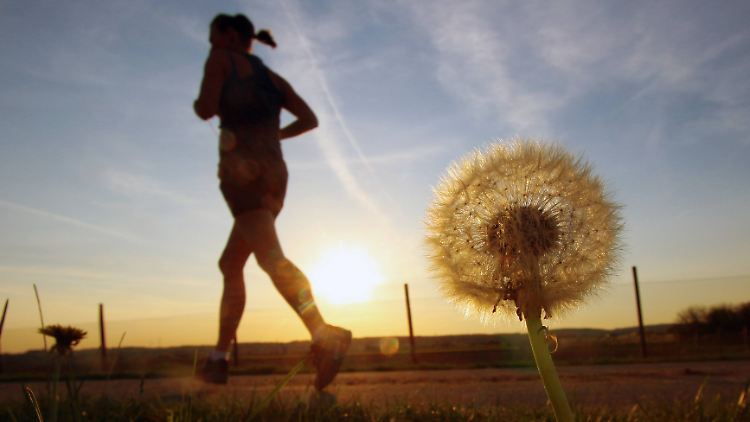 Man kennt das: Mitten im Lauftraining schießt plötzlich der Schmerz in die Flanke. Meist verschwindet das Seitenstechen nach kurzer Zeit wieder.