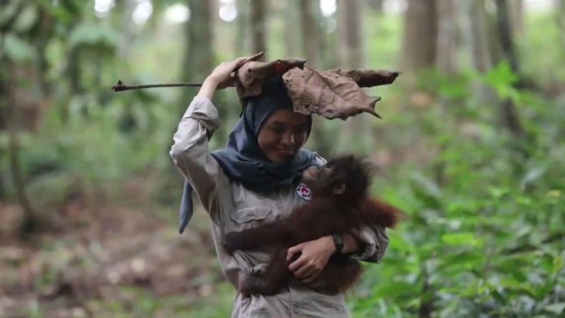 affe.JPG