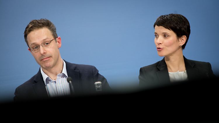 Marcus Pretzell und Frauke Petry. Im Februar 2017 gehören sie noch beide der AfD an.
