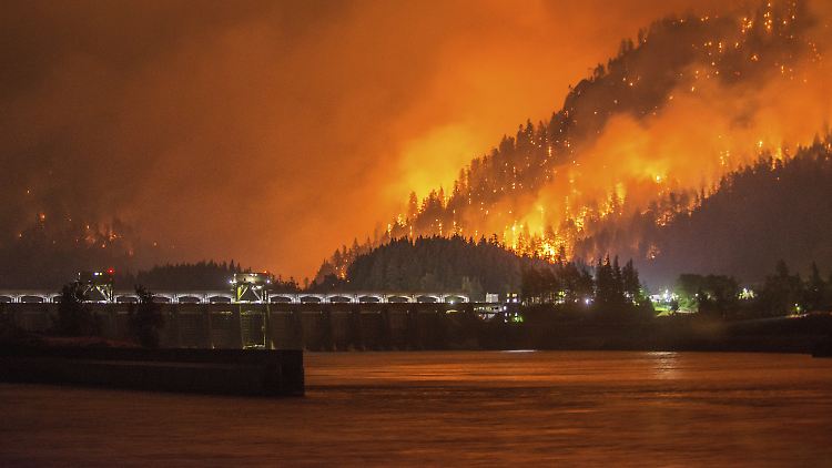 Alles begann mit Feuerwerk: Waldbrand in Eagle Creek Canyon.