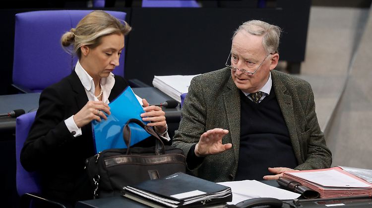 Die AfD-Fraktionsführer Alice Weidel und Alexander Gauland im Bundestag.