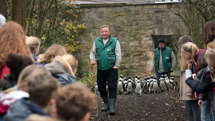 Ermittelt undercover im Zoo: Kommissar Thiel (Axel Prahl)
