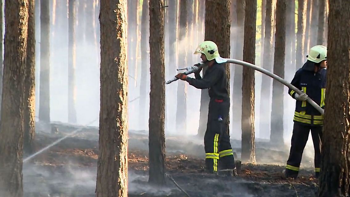 WaldBrandEnburg.jpg