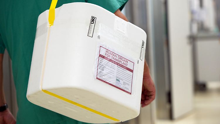 Wegen Leistungsverdichtung haben die Krankenhäuser oft schlicht keine Zeit für Organspenden.