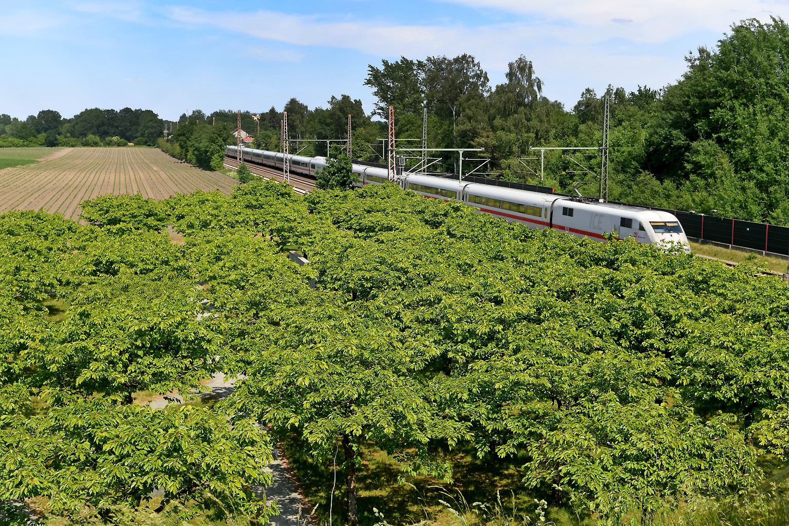 Eschede im Frühsommer 2018. Eine beschauliche Gemeinde in Niedersachsen, durch die die Bahnstrecke Hannover-Hamburg führt. Vor 25 Jahren sieht es hier anders aus. Denn die Gemeinde wird zum grausamen Schauplatz ... 