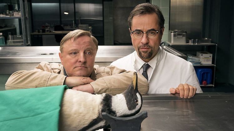 Prahl (links) ermittelt als Tatort-Kommissar in Münster.
