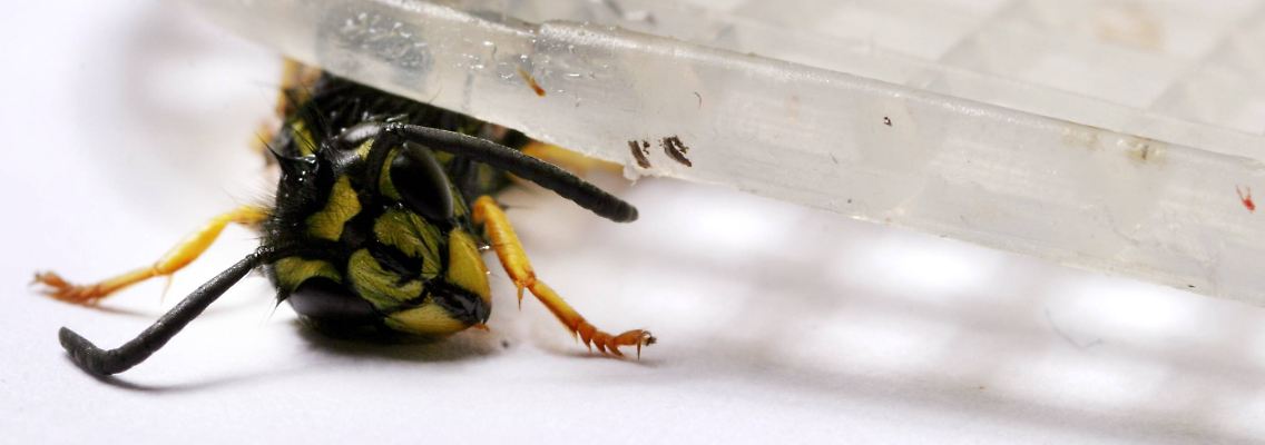 imago50585980h.jpg