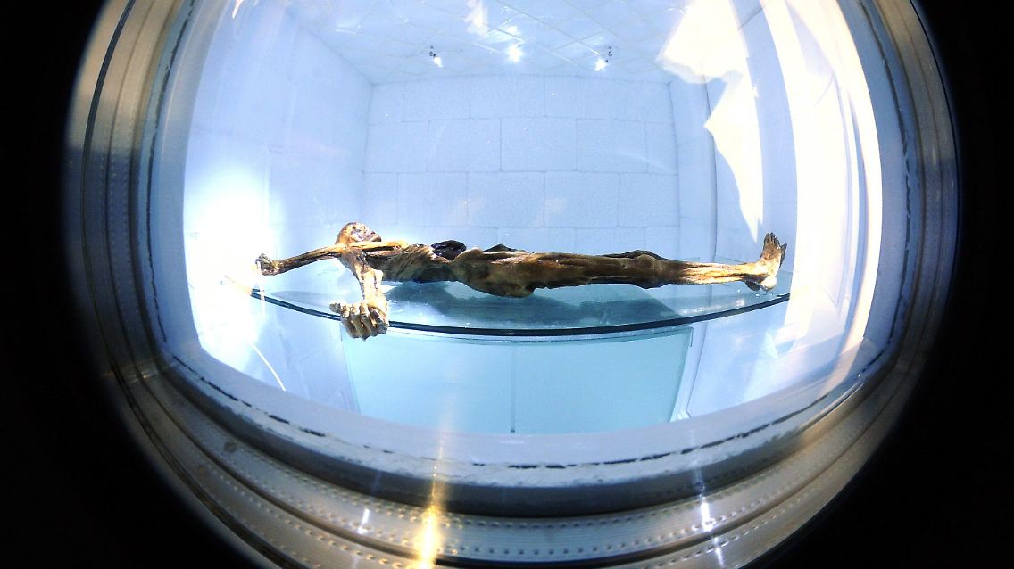 Wenn Ötzi nicht gerade von Wissenschaftlern untersucht wird, wird er im Archäologischen Museum von Bozen in einer Kühlkammer aufbewahrt.