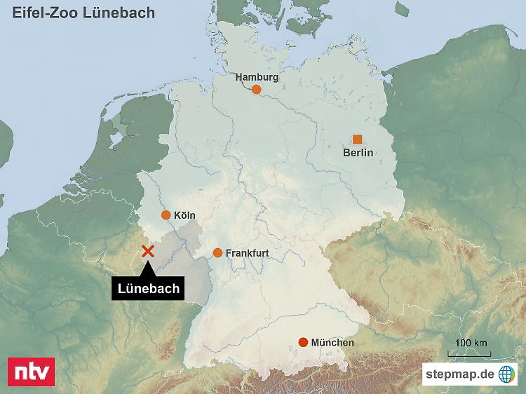 Wildtier-Alarm im Westen: In der Eifel sind mehrere Raubkatzen aus einem Zoo ausgebrochen.