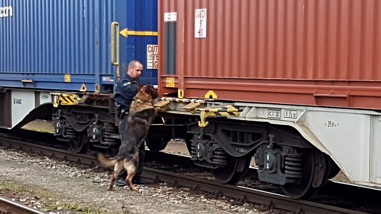Auf dem Weg nach Deutschland hat die sogenannte Balkan-Route aus Sicht der Flüchtlinge mittlerweile an Bedeutung verloren.