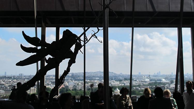 Ein Teil des Dinosaurier-Skeletts ist vor Beginn der Auktion auf dem Eiffelturm als Silhouette zu sehen.