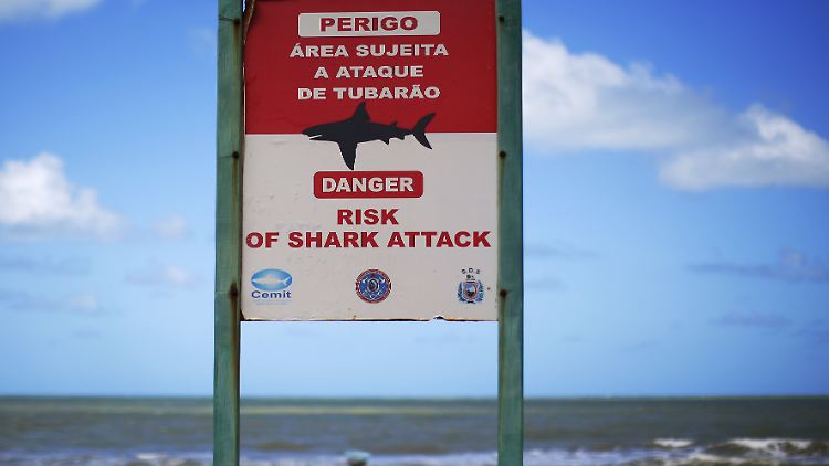 Schilder warnen am Strand von Recife vor Haiangriffen - auch dort wo der Teenager badete.