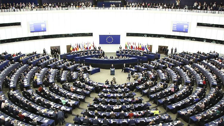 Im EU-Parlament werden künftig weit weniger Vertreter verschiedener Parteien sitzen.