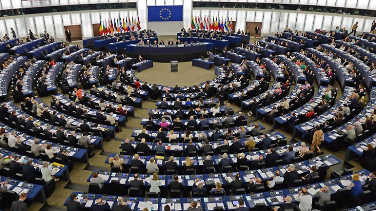 Blick ins Europaparlament: Internetnutzern würde es mit der Urheberrechtsreform deutlich erschwert, Inhalte zu veröffentlichen, die sie nicht selbst produziert haben.