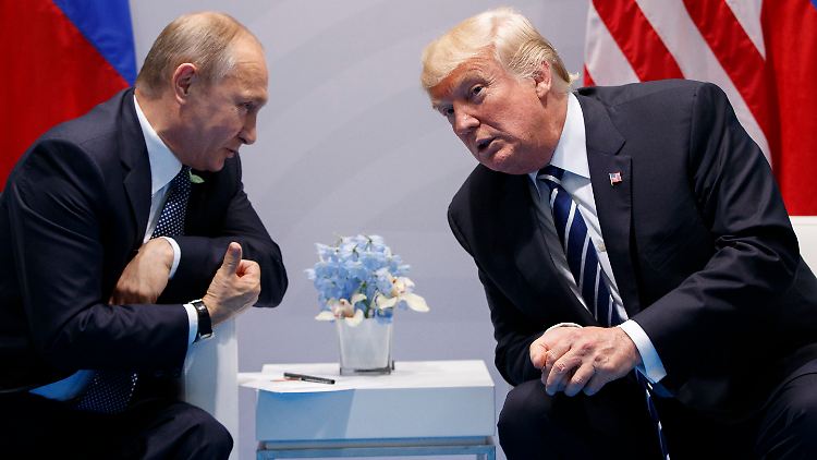 Gegner oder Partner? Putin (l.) und Trump pflegen ein ambivalentes Verhältnis.