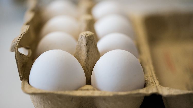 Eier sind häufiger mit Salmonellen belastet. 