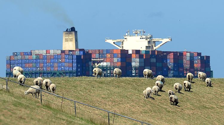 Containerschiff auf der Elbe bei Brokdorf (Schleswig-Holstein).