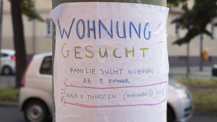 Die private Immobilienwirtschaft soll bezahlbaren Wohnraum schaffen und nicht nur in das hochpreisige Segment investieren, fordert die Chefin des neuen Kommunalrats, Eva Lohse.