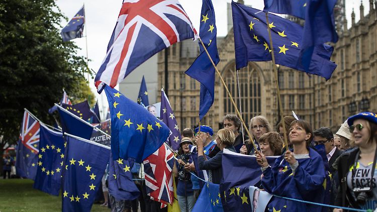 Brexit-Gegner demonstrierten vor dem Londoner Parlament.