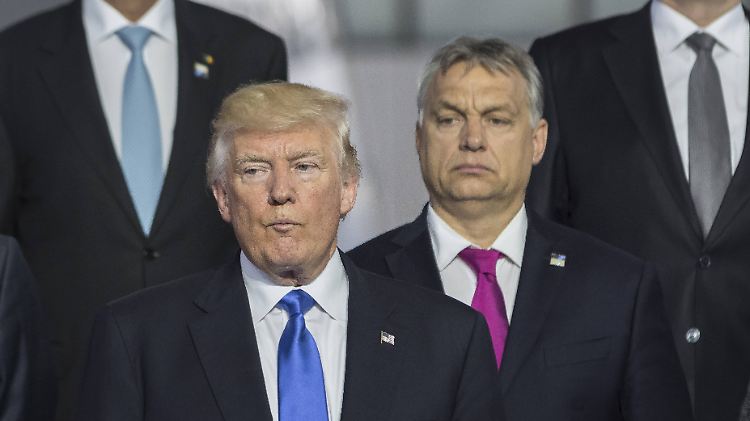 US-Präsident Donald Trump und Ungarn Ministerpräsident Viktor Orban posieren im Mai 2017 für das Abschlussfoto des Nato-Gipfels in Brüssel.
