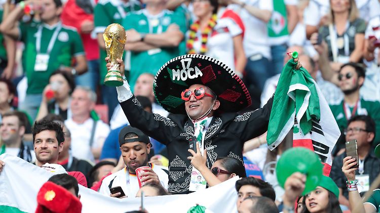 Die Mexikaner waren schon einmal von der Fifa für homophobe Rufe verwarnt worden. 