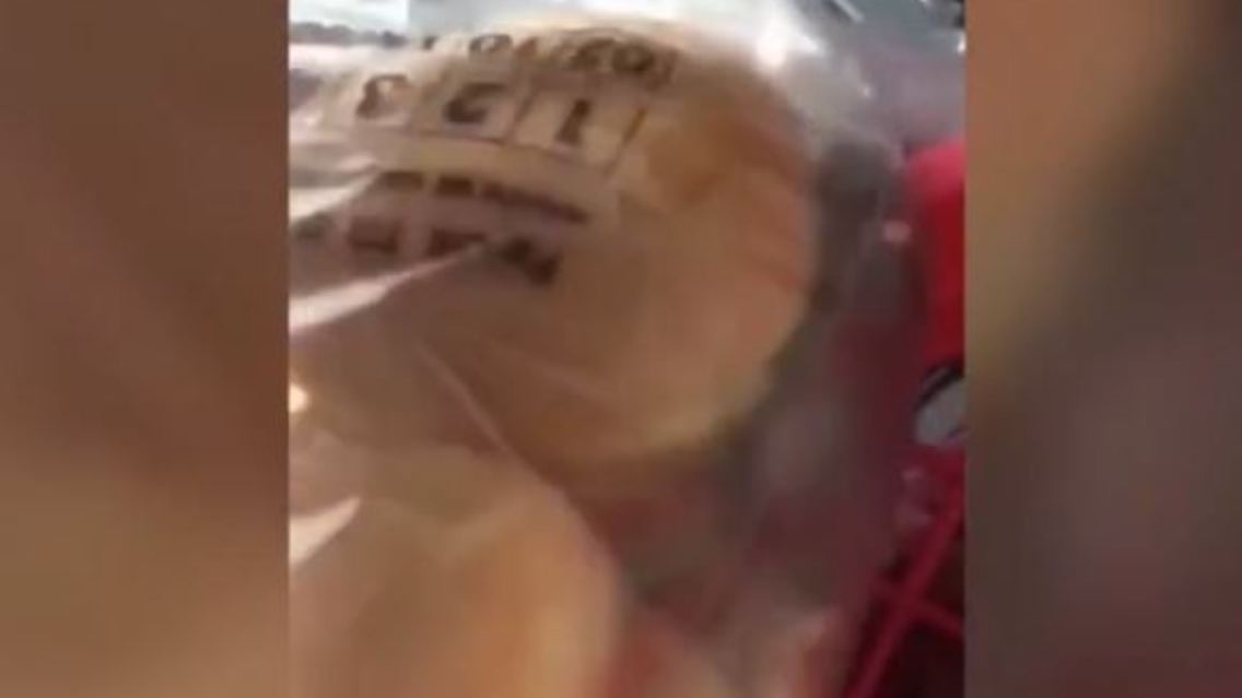Burger Mäuse.JPG