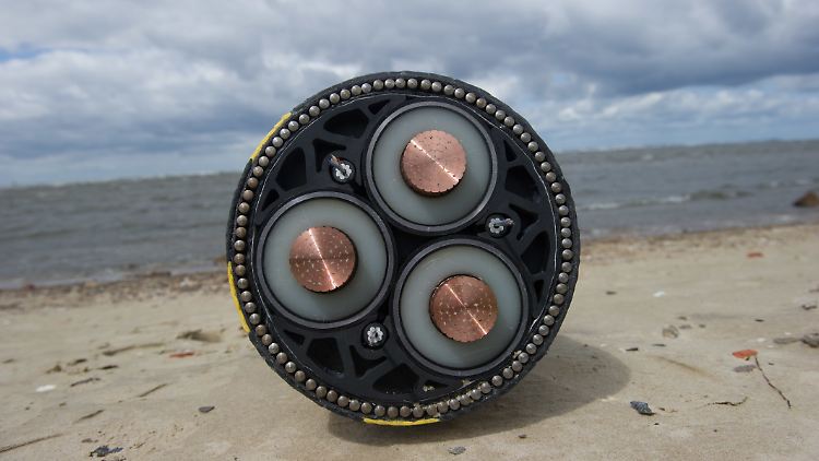 50Hertz verteilt nach eigenen Angaben auch 40 Prozent der installierten Windkraftleistung.
