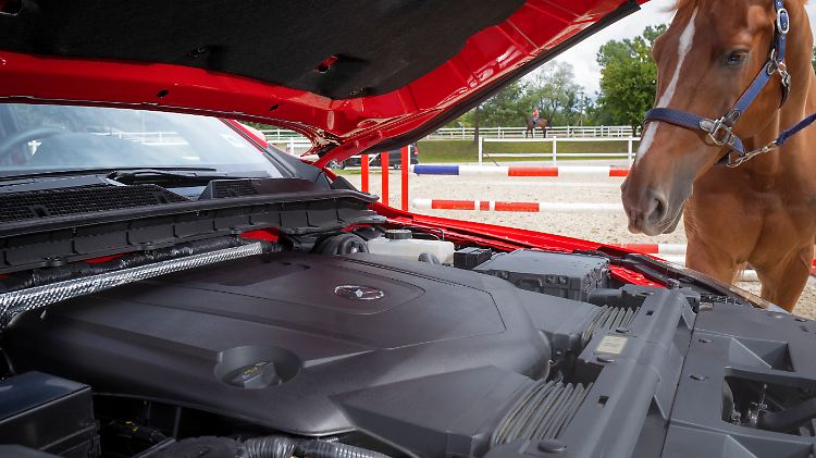 Das staunt das Pferd: Unter der Haube der X-Klasse 350d traben 258 Kollegen.
