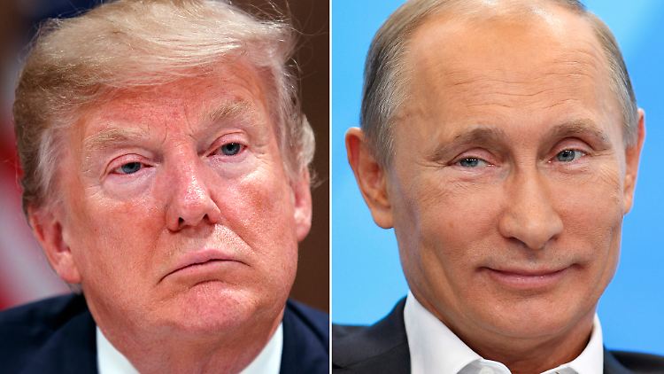 Trump sagte, er werde mit Putin über den Bürgerkrieg in Syrien sowie über die Lage in der Ukraine sprechen.