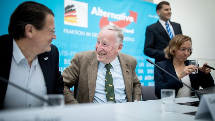 Parteichef Alexander Gauland und der Bundestagsabgeordnete Stephan Brandner lächeln sich bei einer Pressekonferenz an. Der diesjährige Parteitag steht unter vergleichsweise harmonischen Vorzeichen.
