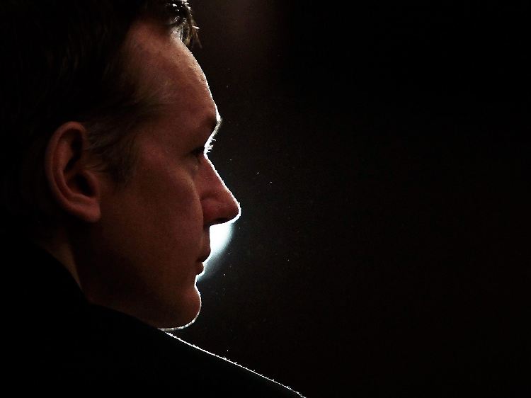 Im Zwielicht: Julian Assange.