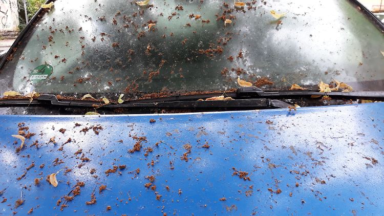 Der Anblick des geliebten Wagens versetzt manchen Fahrer in einen Schock.