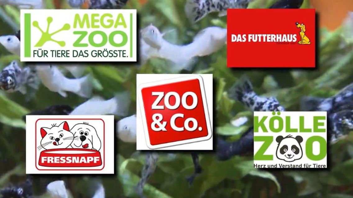 zomürkte1.JPG