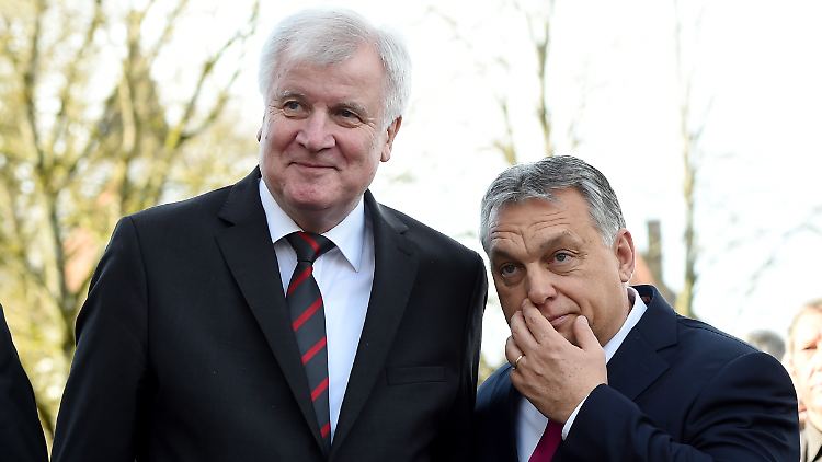 Seehofer und Orban - hier bei einem Treffen im Januar.
