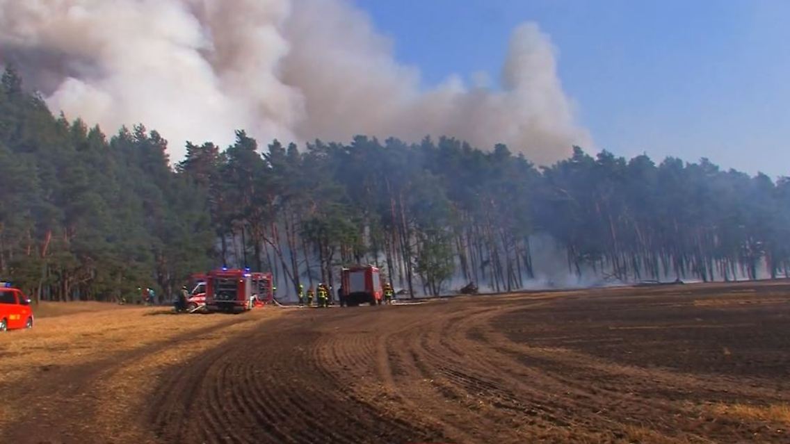 waldbrand2.JPG
