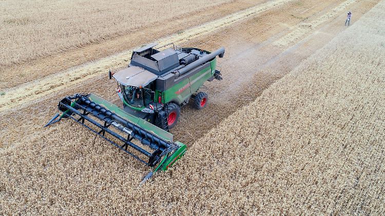 Zahlreiche Landwirte mussten aufgrund der anhaltenden Trockenheit frühzeitig die Ernte einfahren.