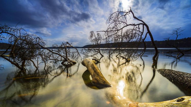 Am Ufer des Großen Stechlinsees im Norden Brandenburgs zieht ein Gewitter auf.