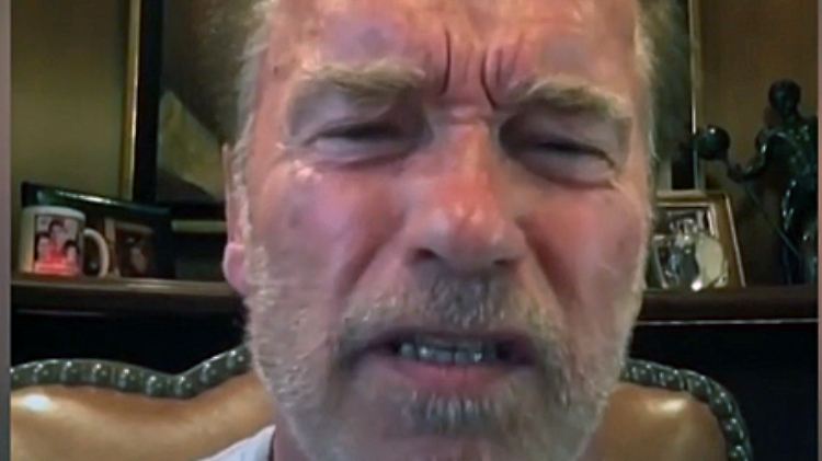Schwarzenegger.jpg