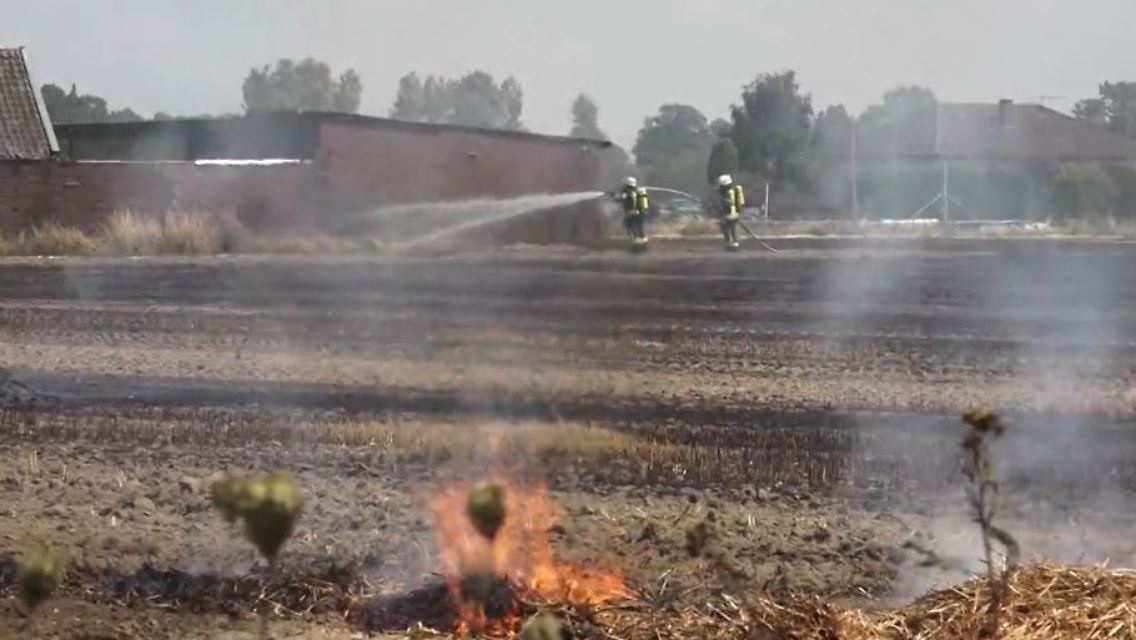 feuer.JPG